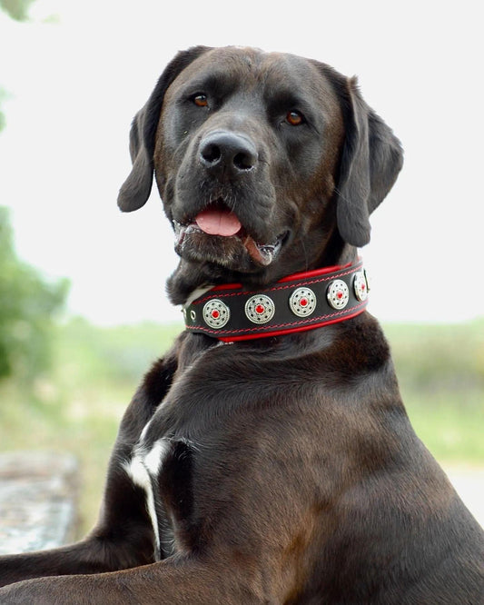 Halsband "Bijou" schwarz & rot