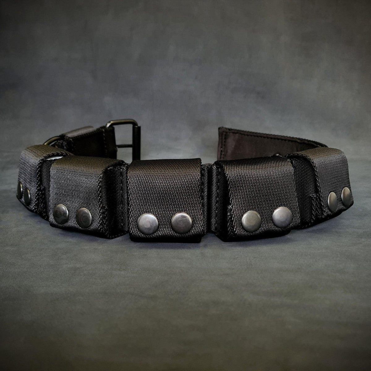 Gewichtetes Hundetrainingshalsband. Große Rassen. 5 lbs gesamt. Herausnehmbare Gewichte.
