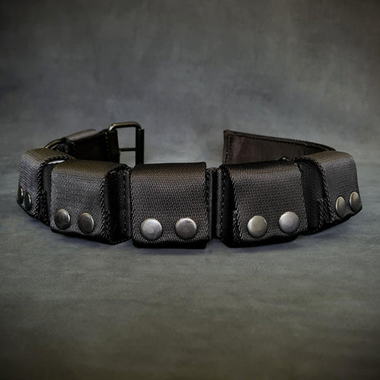 Weighted dog training collar. Large breeds. 5 lbs total. removable weights